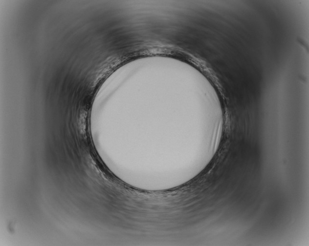 X0000099430010200806061031