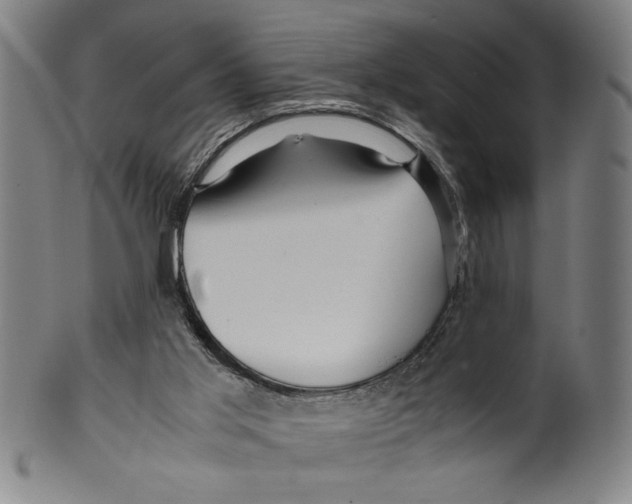 X0000099430013200806061031