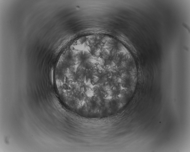 X0000099430014200806061031