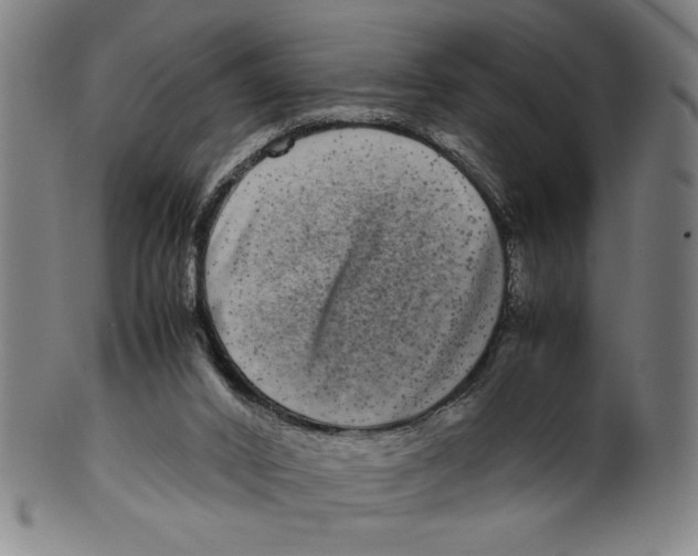 X0000099430016200806061031