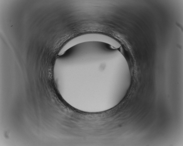 X0000099430017200806061030