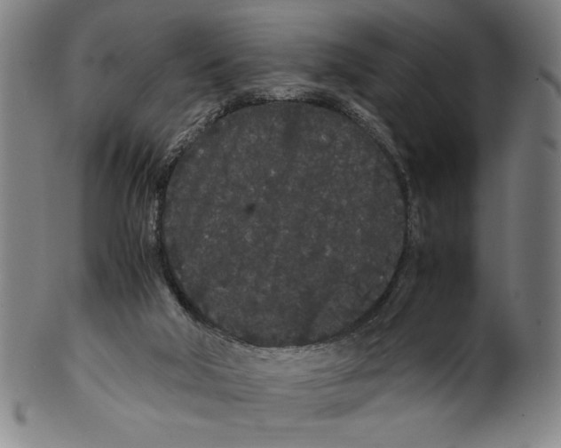 X0000099430018200806061030