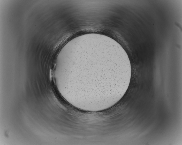 X0000099430020200806061030