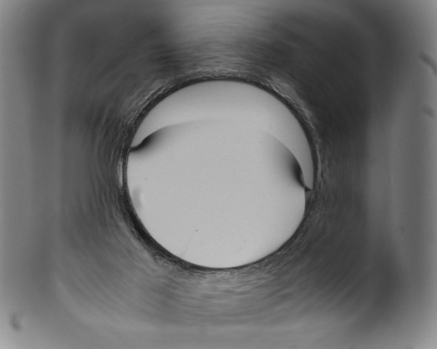 X0000099430021200806061030