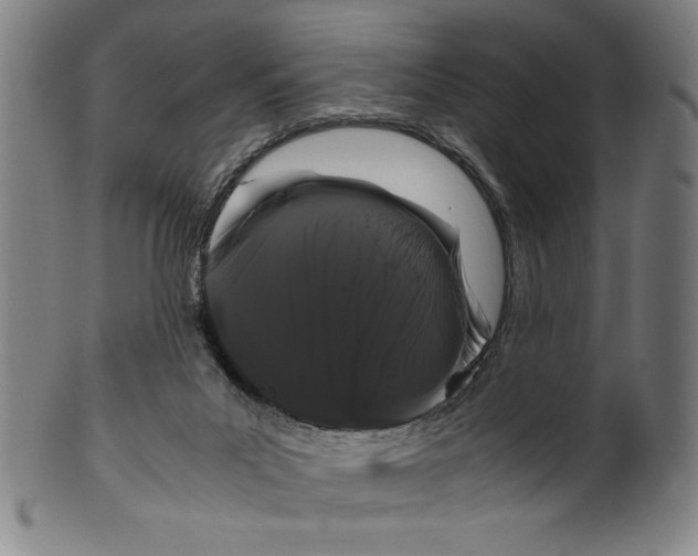 X0000099430023200806061030