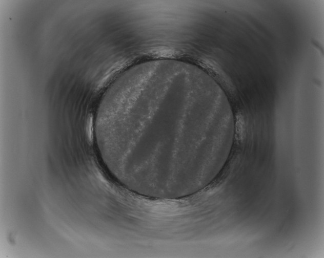 X0000099430024200806061030