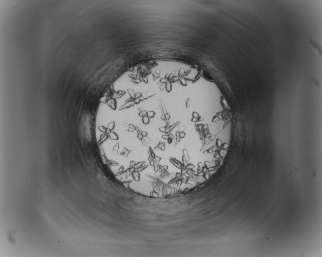 X0000099430026200806061030