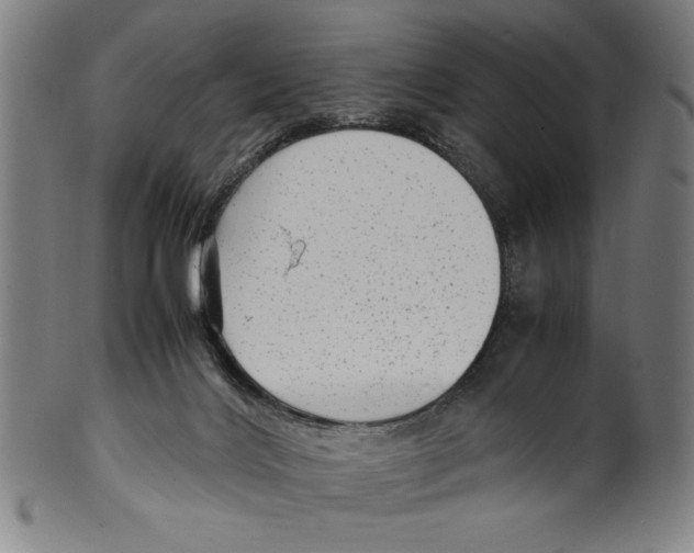 X0000099430028200806061030