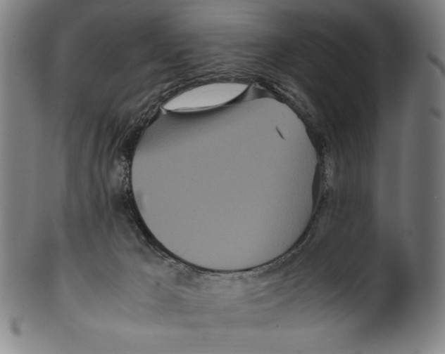 X0000099430029200806061030