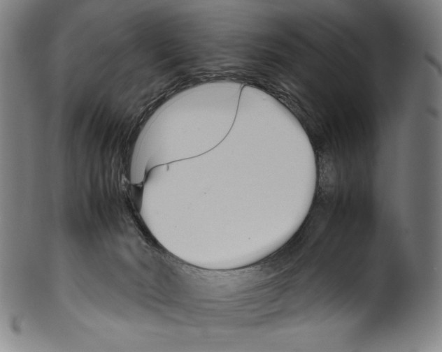 X0000099430030200806061030