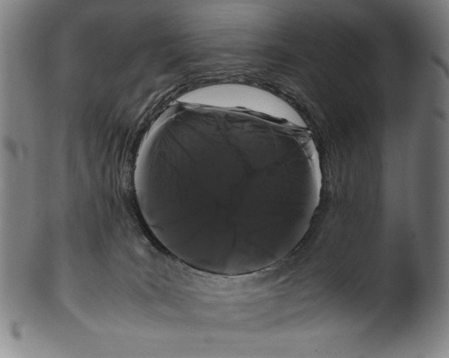 X0000099430035200806061030