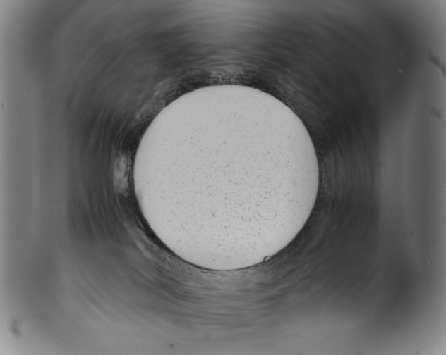 X0000099430038200806061030