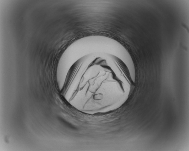 X0000099430039200806061030