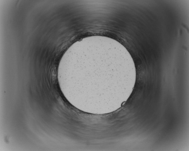 X0000099430040200806061030