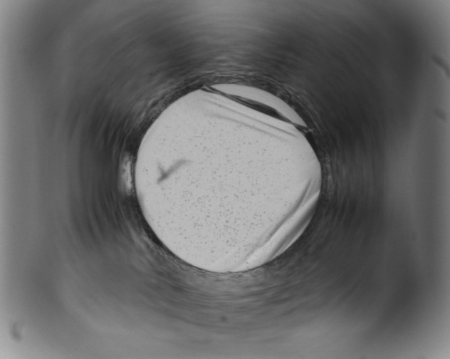 X0000099430042200806061030