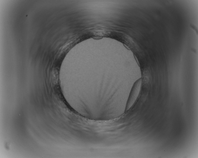 X0000099430043200806061030