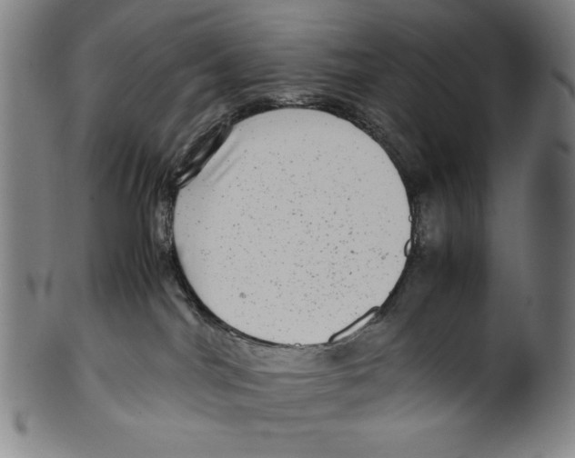 X0000099430044200806061030