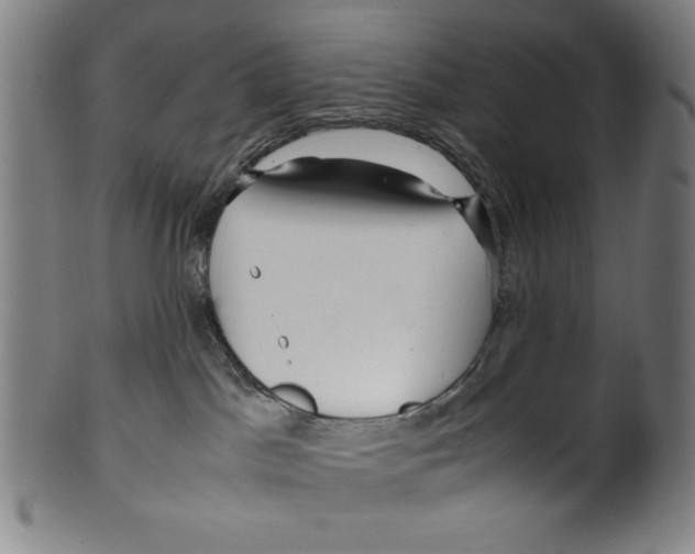 X0000099430045200806061030