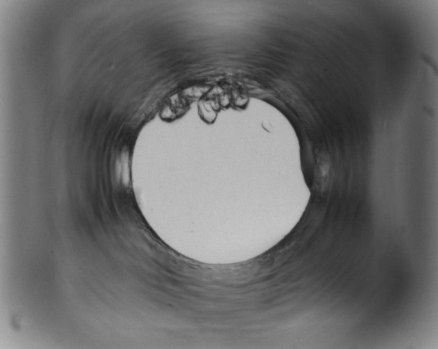 X0000099430046200806061030