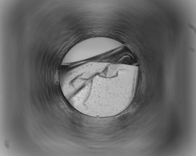 X0000099430048200806061030