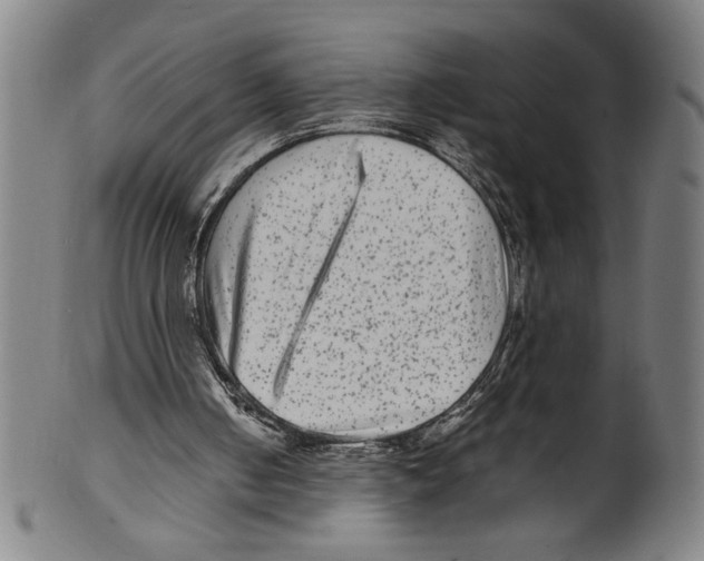 X0000099430050200806061029