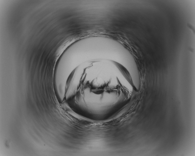 X0000099430052200806061029