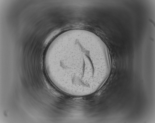 X0000099430054200806061029