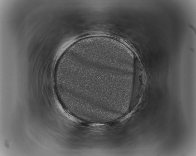 X0000099430055200806061029