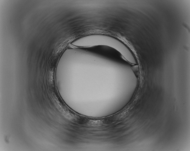 X0000099430057200806061029