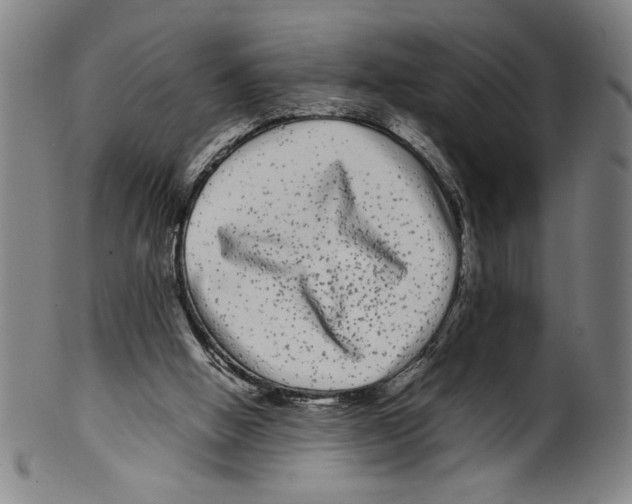 X0000099430058200806061029