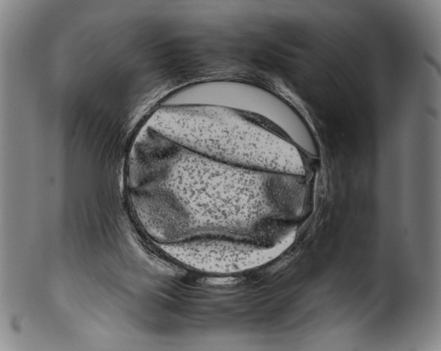 X0000099430059200806061029