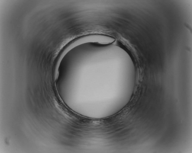 X0000099430060200806061029