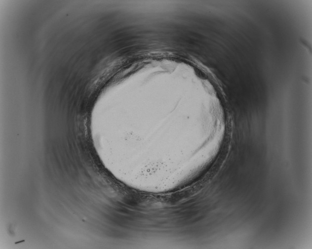 X0000099430061200806061029