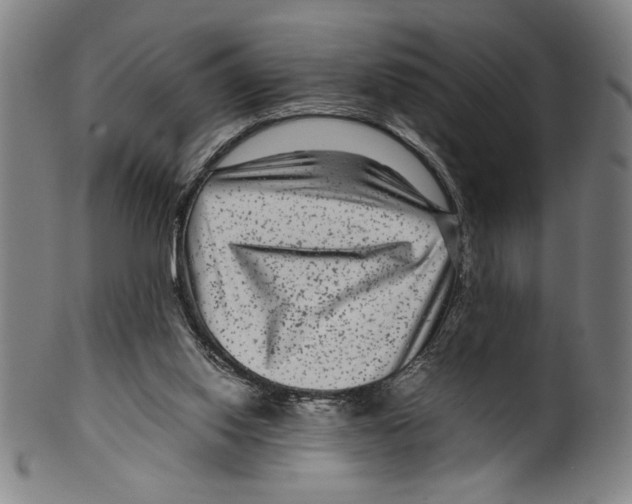 X0000099430062200806061029