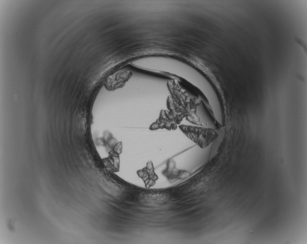 X0000099430063200806061029