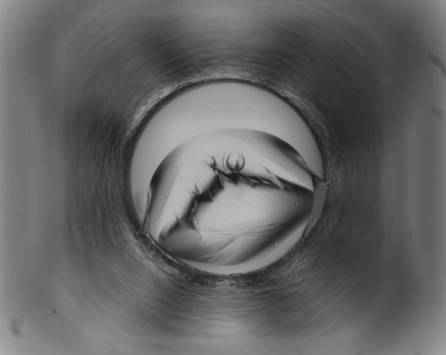 X0000099430064200806061029