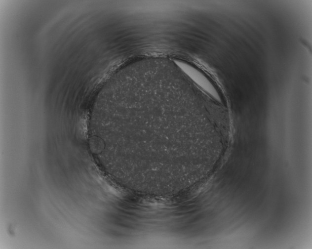 X0000099430065200806061029