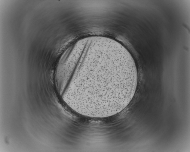 X0000099430066200806061029