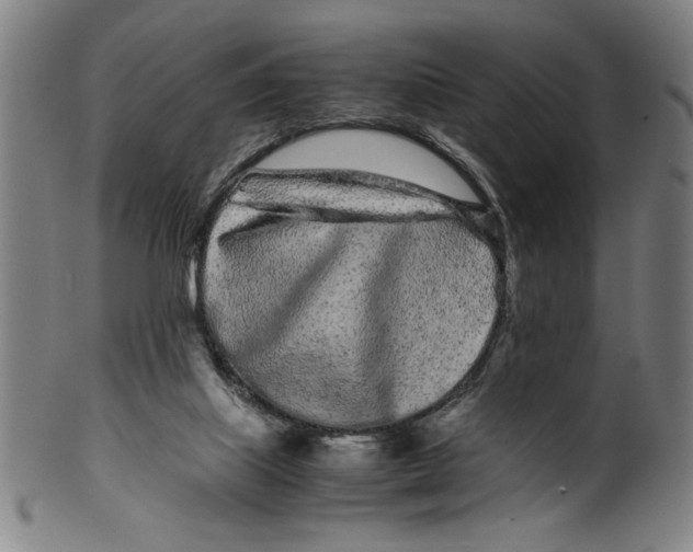 X0000099430067200806061029