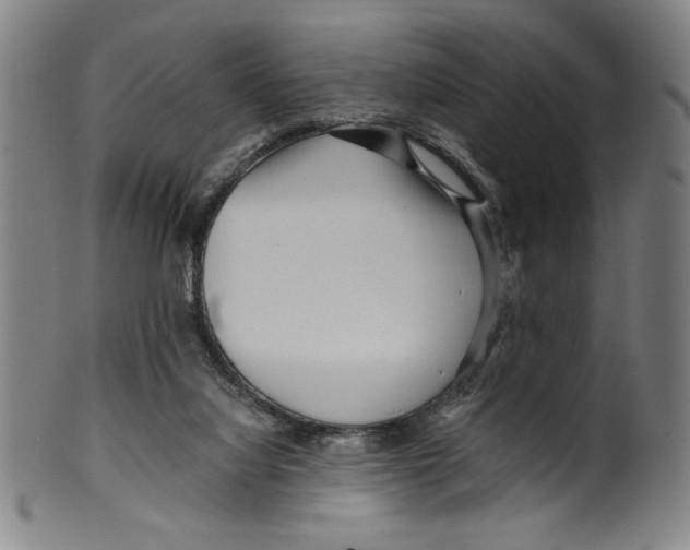 X0000099430068200806061029