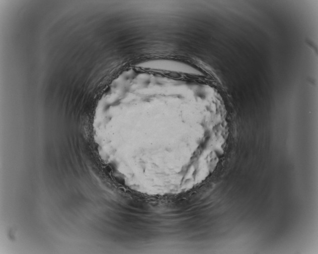 X0000099430069200806061029