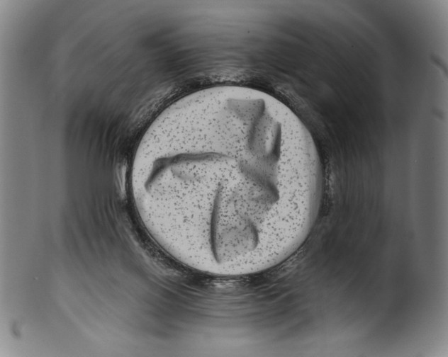 X0000099430070200806061029