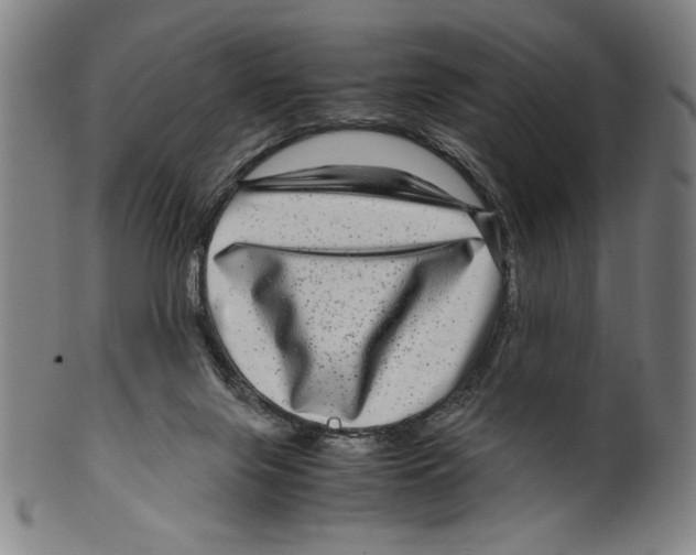 X0000099430071200806061030