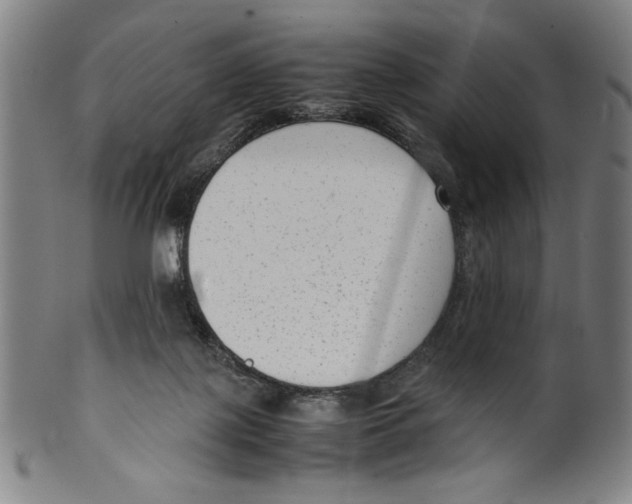 X0000099430075200806061030