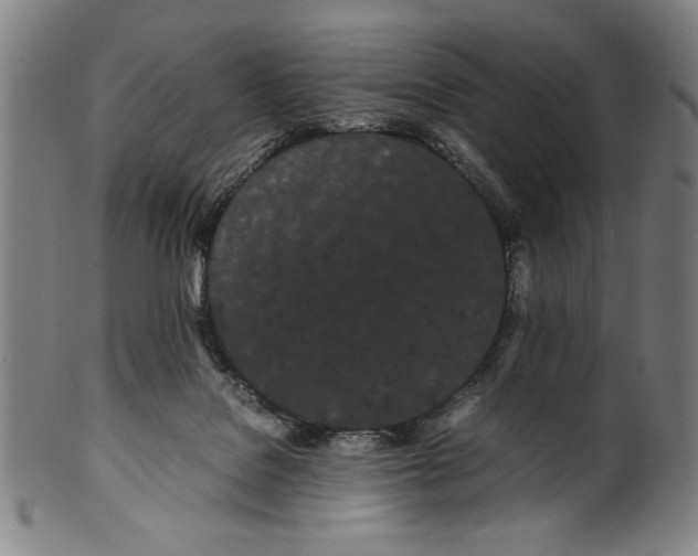 X0000099430076200806061030