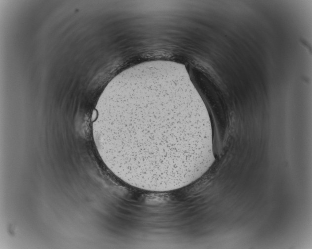 X0000099430077200806061030