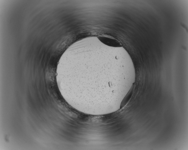 X0000099430078200806061030