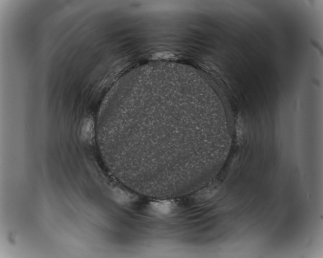 X0000099430079200806061030