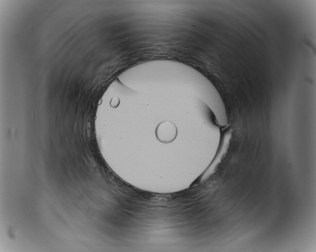 X0000099430080200806061030