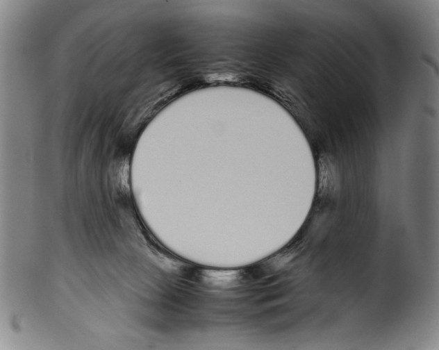 X0000099430081200806061030